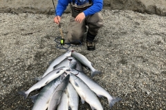 2019-07-28-12.47.52