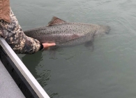 2019-11-25-14.18.59-9