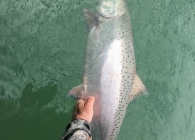 2019-11-25-14.19.02-8