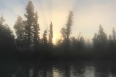 2019-11-25-14.19.01-12