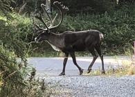 2019-10-05-02.47.15-3