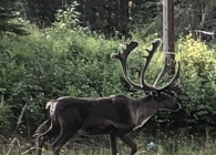 2019-10-05-02.47.15-4