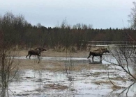 2019-11-25-14.19.00-7