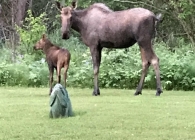 2019-11-25-14.19.02-2