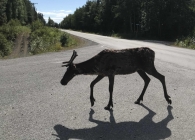 2019-11-27-14.27.53-2