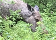 2019-11-27-14.28.20-2